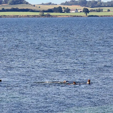 4 Person On A In